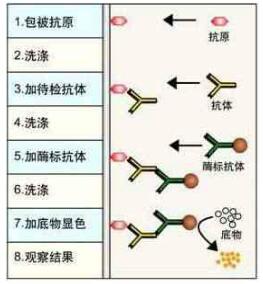 QQ截圖20201214150533.jpg